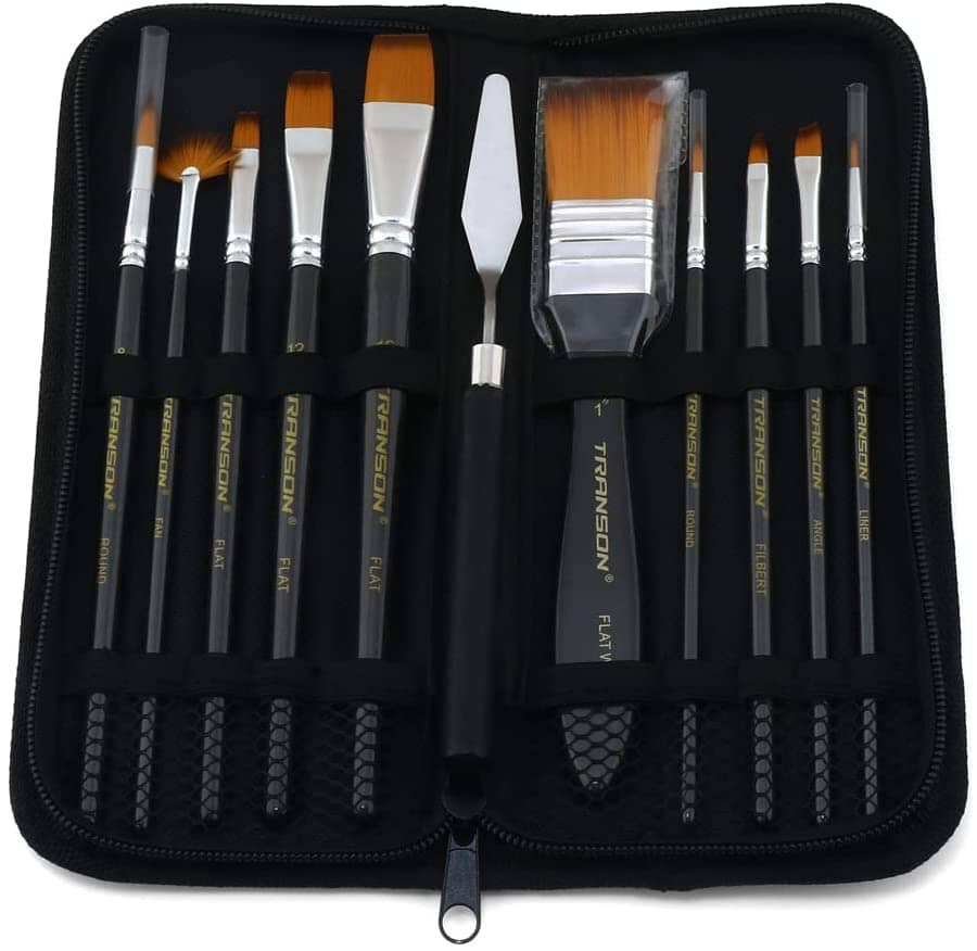 Transon 20pcs Artist Paint Brush Kit with 17 Paint Brushes and 1 Spong