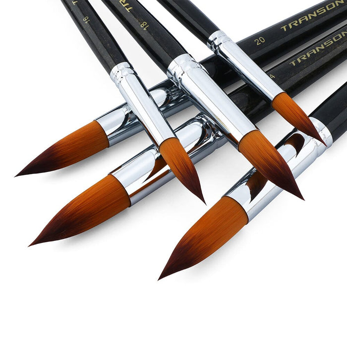  Trekell Protégé Bristle Watercolor Brush Set - Assorted  Professional Paint Brushes for Oil Paint, Acrylic, and Gouache - 6 Brush  Handles, 6 Piece Set